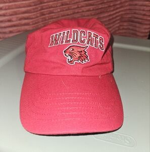 High school musical hat